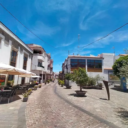 Encarna Vega de San Mateo